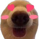 a_doggyinlove custom emote from truly ᯓ✩ friends ㆍ giveaways ㆍ tags ㆍ chill ㆍ vc ㆍ hangout ㆍ social ㆍ cute ㆍ emotes ㆍ active ㆍ chat