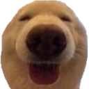 a_doggyhappy Discord Emoji | truly ᯓ✩ friends ㆍ giveaways ㆍ tags ㆍ chill ㆍ vc ㆍ hangout ㆍ social ㆍ cute ㆍ emotes ㆍ active ㆍ chat