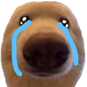 a_doggycries Discord sticker - truly ᯓ✩ friends ㆍ giveaways ㆍ tags ㆍ chill ㆍ vc ㆍ hangout ㆍ social ㆍ cute ㆍ emotes ㆍ active ㆍ chat