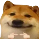 9081dogeshy