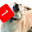 33865ping