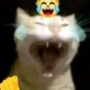 nhehehe
