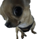 sus custom emote | ToxicToes