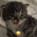 MS_Waza Discord emoji
