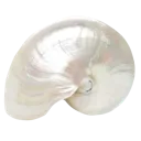 10_shell