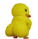 twerk_duck