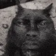 catconfused