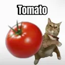 tomato