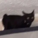 demon