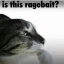 isthisragebait