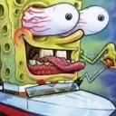 sponge