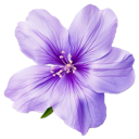 001_purpleflower1 custom emote from truly ᯓ✩ friends ㆍ giveaways ㆍ tags ㆍ chill ㆍ vc ㆍ hangout ㆍ social ㆍ cute ㆍ emotes ㆍ active ㆍ chat