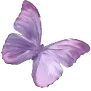 001_purplebutterfly