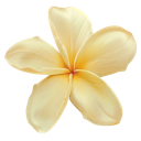 004yellowflower custom emote - truly ᯓ✩ friends ㆍ giveaways ㆍ tags ㆍ chill ㆍ vc ㆍ hangout ㆍ social ㆍ cute ㆍ emotes ㆍ active ㆍ chat