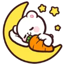 bearsleep