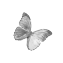 010_greybutterfly custom emote from truly ᯓ✩ friends ㆍ giveaways ㆍ tags ㆍ chill ㆍ vc ㆍ hangout ㆍ social ㆍ cute ㆍ emotes ㆍ active ㆍ chat