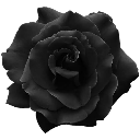 011_blackrose custom emote - truly ᯓ✩ friends ㆍ giveaways ㆍ tags ㆍ chill ㆍ vc ㆍ hangout ㆍ social ㆍ cute ㆍ emotes ㆍ active ㆍ chat