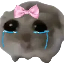 CoquetteSadHamster
