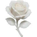 009_whiterose