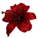 007_redflower