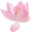 008_pinkflowers Discord Emoji | truly ᯓ✩ friends ㆍ giveaways ㆍ tags ㆍ chill ㆍ vc ㆍ hangout ㆍ social ㆍ cute ㆍ emotes ㆍ active ㆍ chat