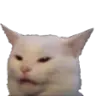 ConfusedCat