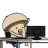 :CC_Mush_Geek: CC_Mush_Geek