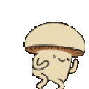 CC_Mush_Run