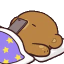 CC_Bear_Sleapy