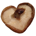 006_mushroomheart Discord Emoji from truly ᯓ✩ friends ㆍ giveaways ㆍ tags ㆍ chill ㆍ vc ㆍ hangout ㆍ social ㆍ cute ㆍ emotes ㆍ active ㆍ chat