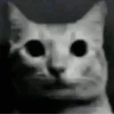 gat