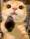 kittygun