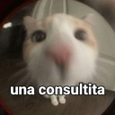 MS_unapreguntita Discord emoji