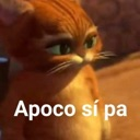 MS_apocositilin Discord emoji