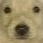 MS_QueCringe Discord emoji
