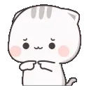 shy_kitty