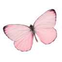 md_z_Butterfly1 Discord emoji