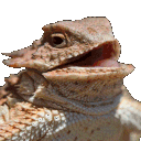 8fa894db137f45eeba1b77400aeb1c40 animated GIF emoji - Lefo's Crib