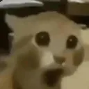 omg2