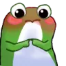 CC_Frog_Shy