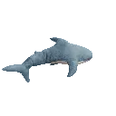 spiny_spiny