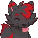 CC_Foxxo_l