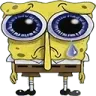 sadsponge