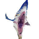stormglider_raaa