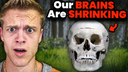 OurBrainsAreShrinking Discord emoji