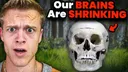 OurBrainsAreShrinking OurBrainsAreShrinking