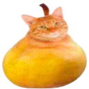 Bombom