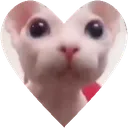 B_heart Discord sticker | SocialBar | Make Friends • Active • VC Calls • Gaming • Emotes • Anime • Roblox • Chill • Fun