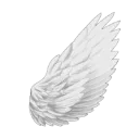 angelwing