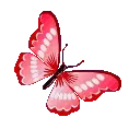 red_butterfly
